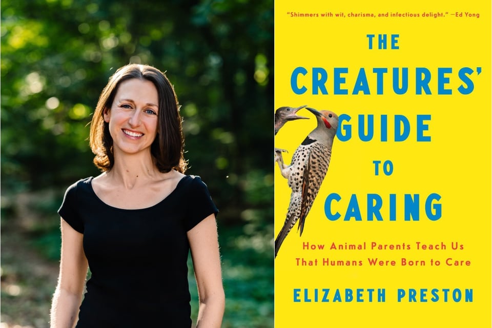 author photo and book cover side by side