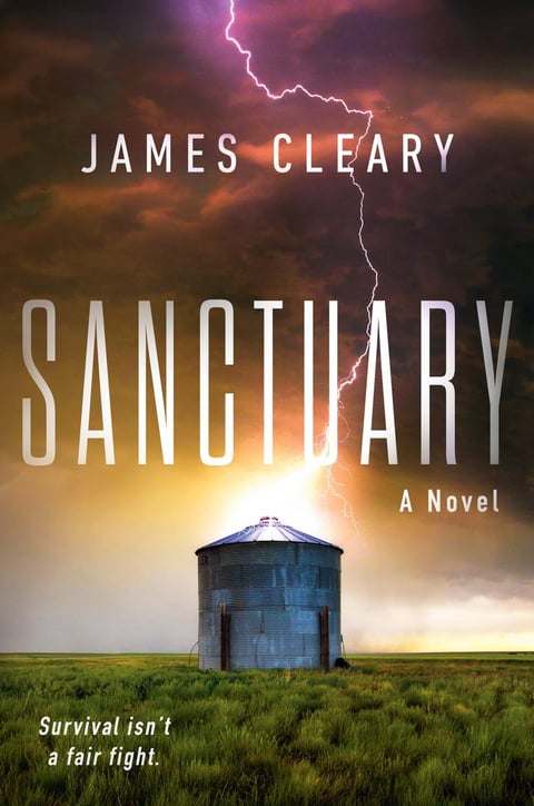 Book cover: Sweet Sanctuary by Charlotte Lamb