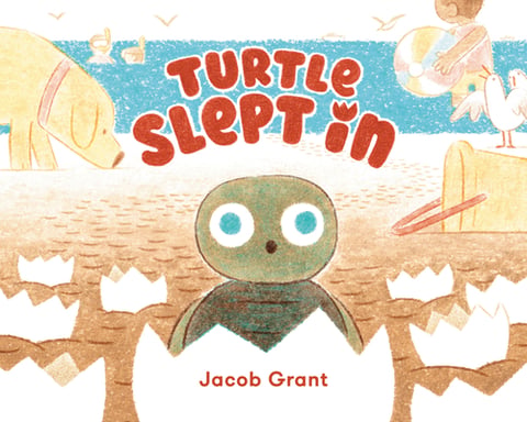 turtle slept in cover