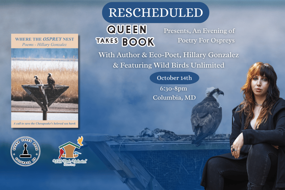 Hillary Gonzalez poetry release on Wednesday, October 14th at 6:30pm.
